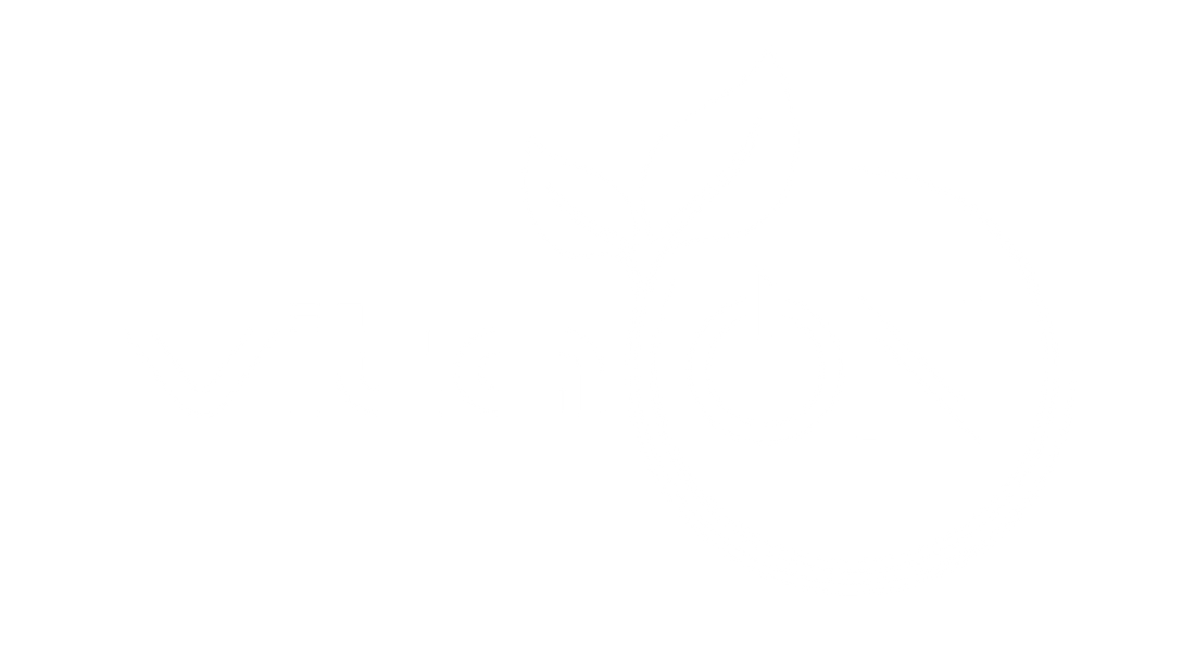 vitaon logo white